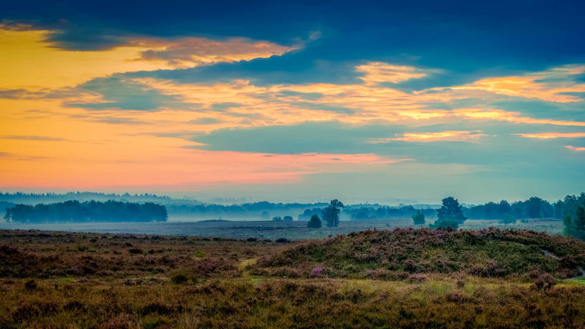 Sunrise with misty view of the veluwe valley