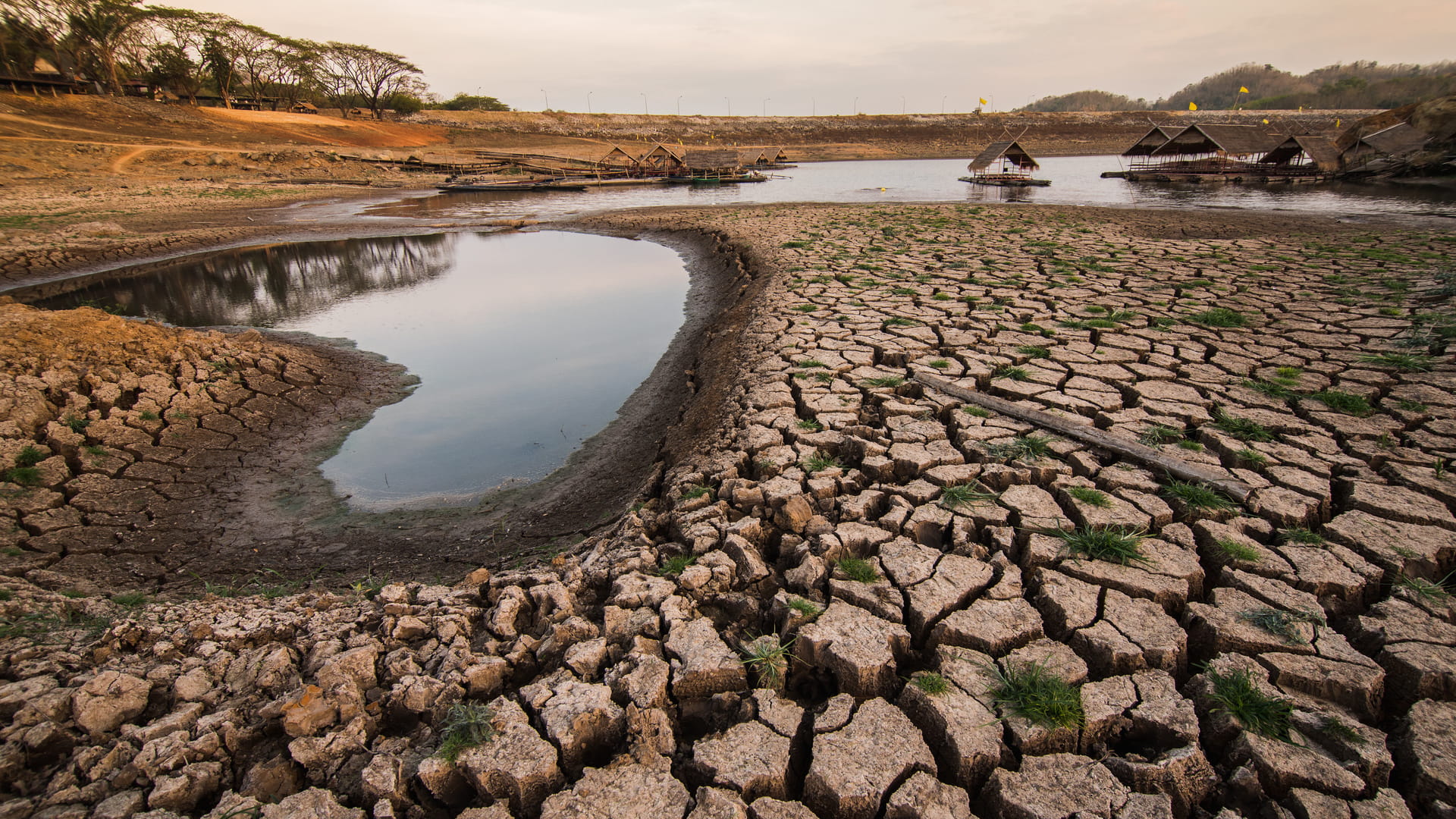 the drought ground due to global warming